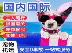 盐城南洋航空快运国际宠物托运 【国